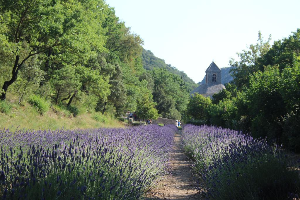 Le Mazet Du Domaine *